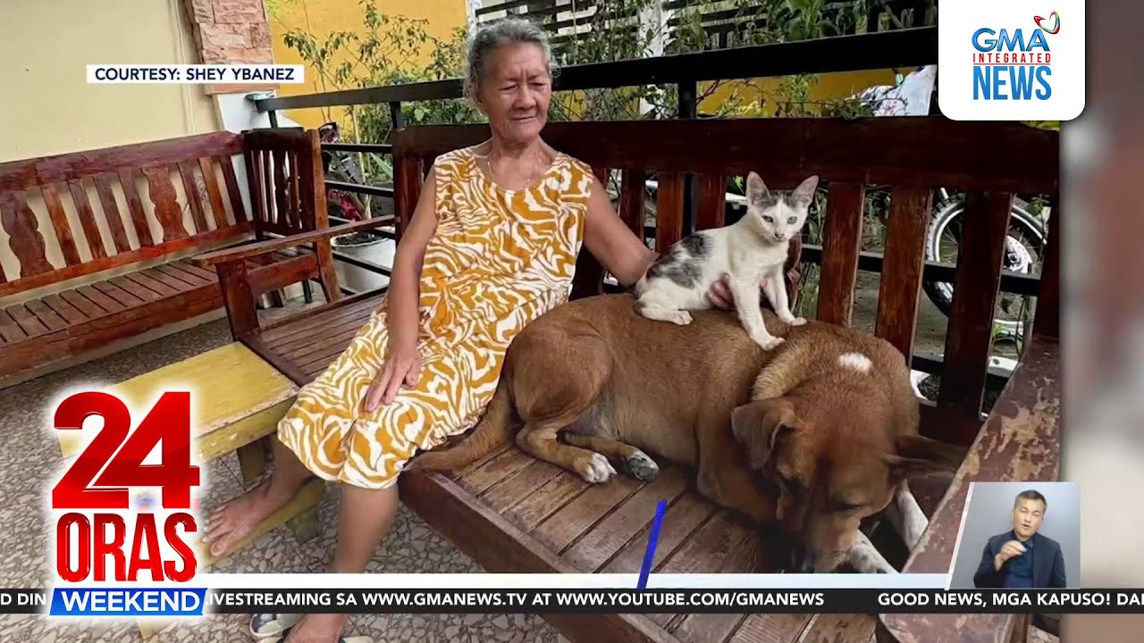 Spoiled fur baby gets pillow mid-nap | 24 Oras Weekend