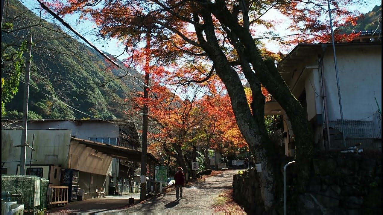 大阪牛滝の山寺と集落【集落の風景・田舎散歩】(大阪府岸和田市)Ushitaki, Osaka, Japan