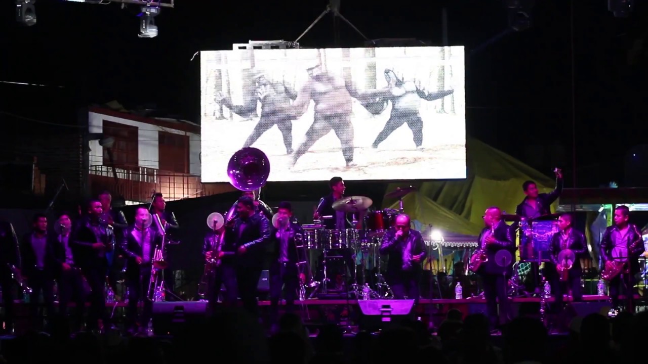 Los Lobos / El Gallo mojado -  Banda Universo (en vivo) - Tema