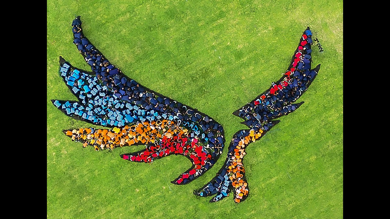 A Falcon Made of Colors: Art for the Sky, September 20, 2024
