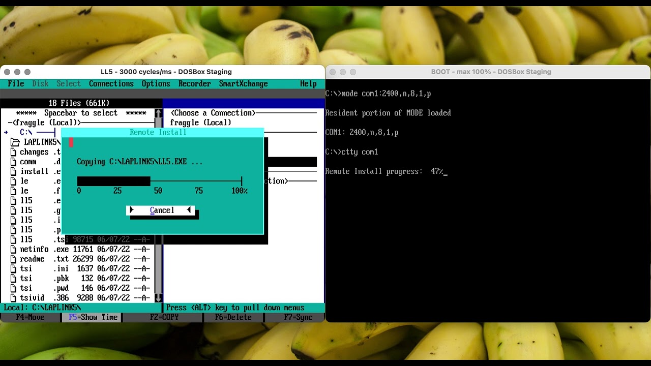 LapLink 5 remote install from plain DOS prompt