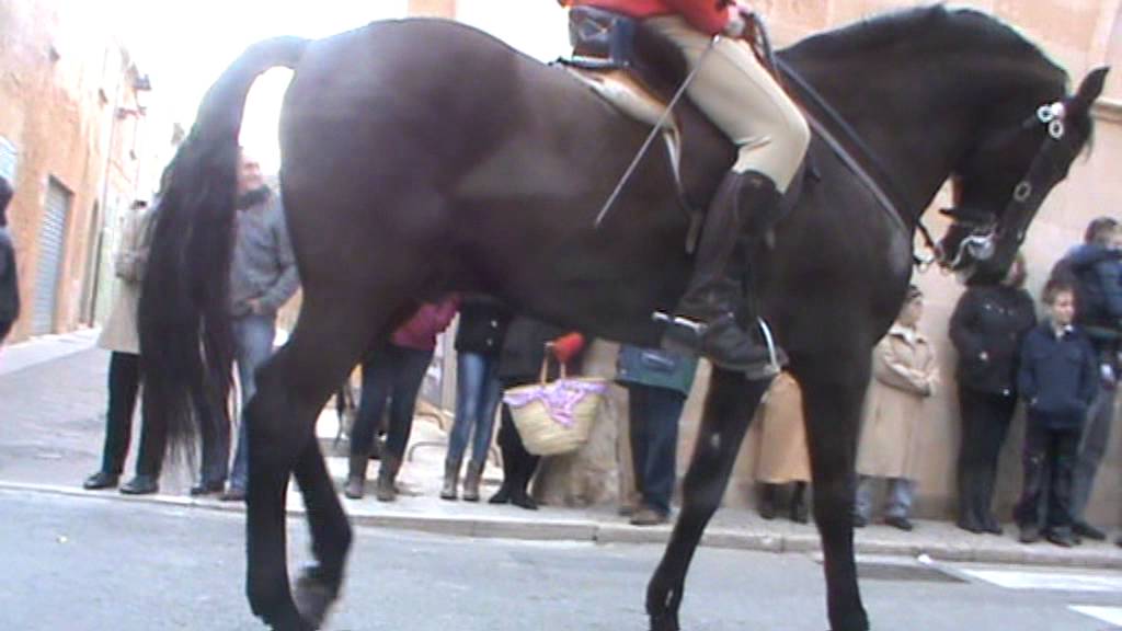Beneïdes de Sant Antoni, Campos, 2013, segona part