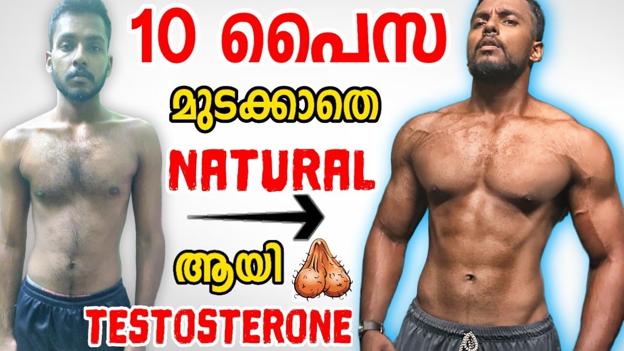 HOW TO BOOST TESTOSTERONE FASTER NATURALLY MALAYALAM |     @MaLLuUnToLD