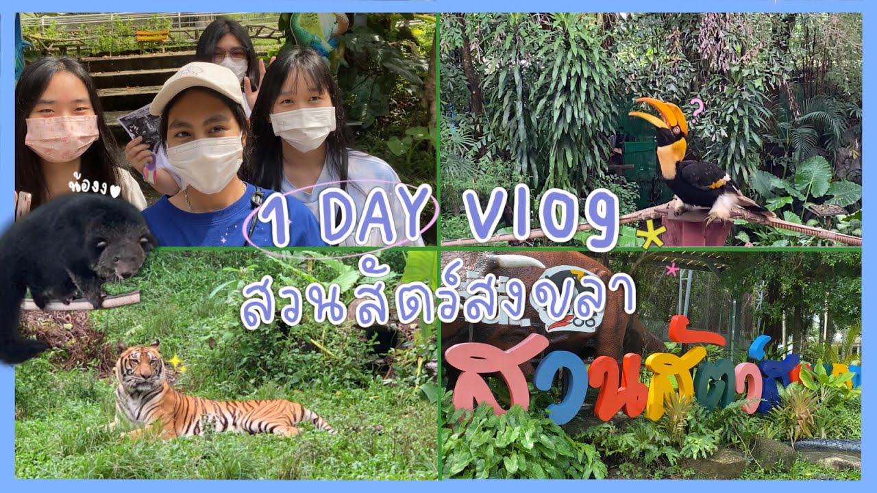 1 day vlog | พาเที่ยว 1  วันที่สวนสัตว์สงขลา✨ ; เดินชมสัตว์,ดูการแสดง,หวนคืนสู่ธรรมชาติ🌳🍂