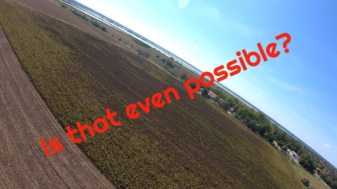 Paragliding super low save from 50m AGL over flatland 🪂