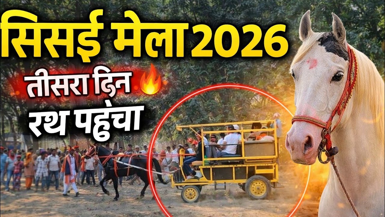 सिसई पशु मेला मे रथ आया है 🤑🐴 #new #long #vlog #viral #youtube #content #trending #video  