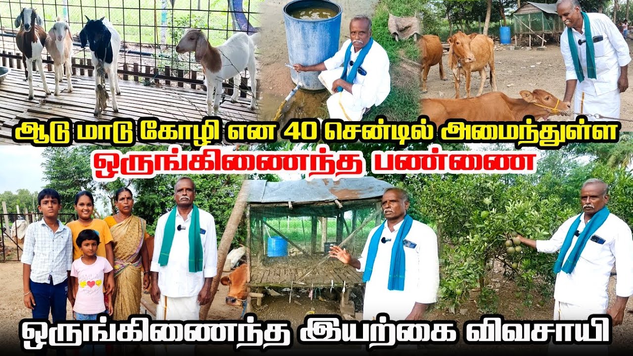 40 சென்டில் அமைந்துள்ள ஒருங்கிணைந்த பண்ணை | ஆடு மாடு கோழி தேனி | Iyarkai Annai