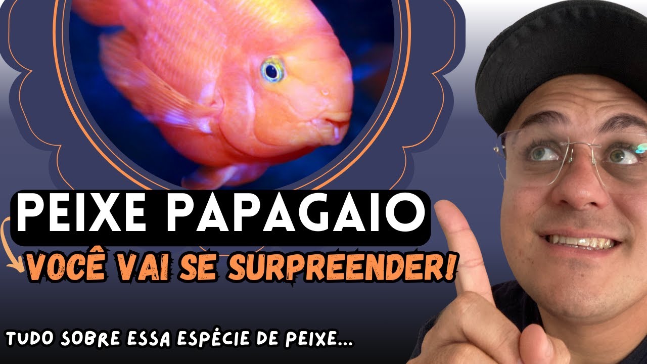 COMO CUIDAR DO PEIXE PAPAGAIO: DICAS ESSENCIAIS!
