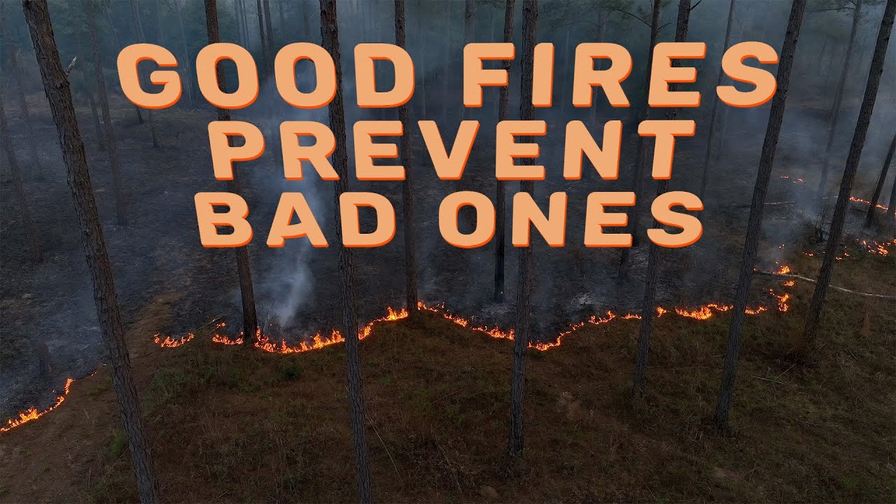 Good Fires Prevent Bad Ones