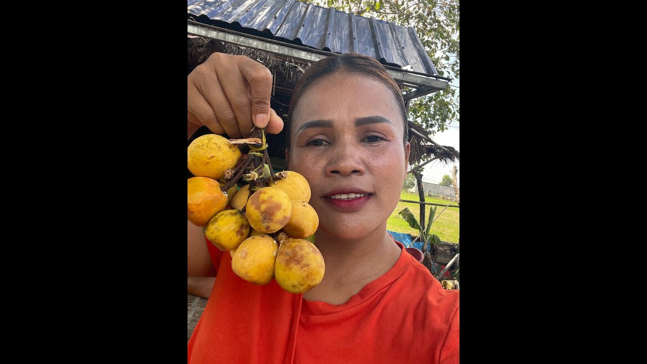 ខាងនេះបានហូបហើយចុះខាងនោះបាននៅ