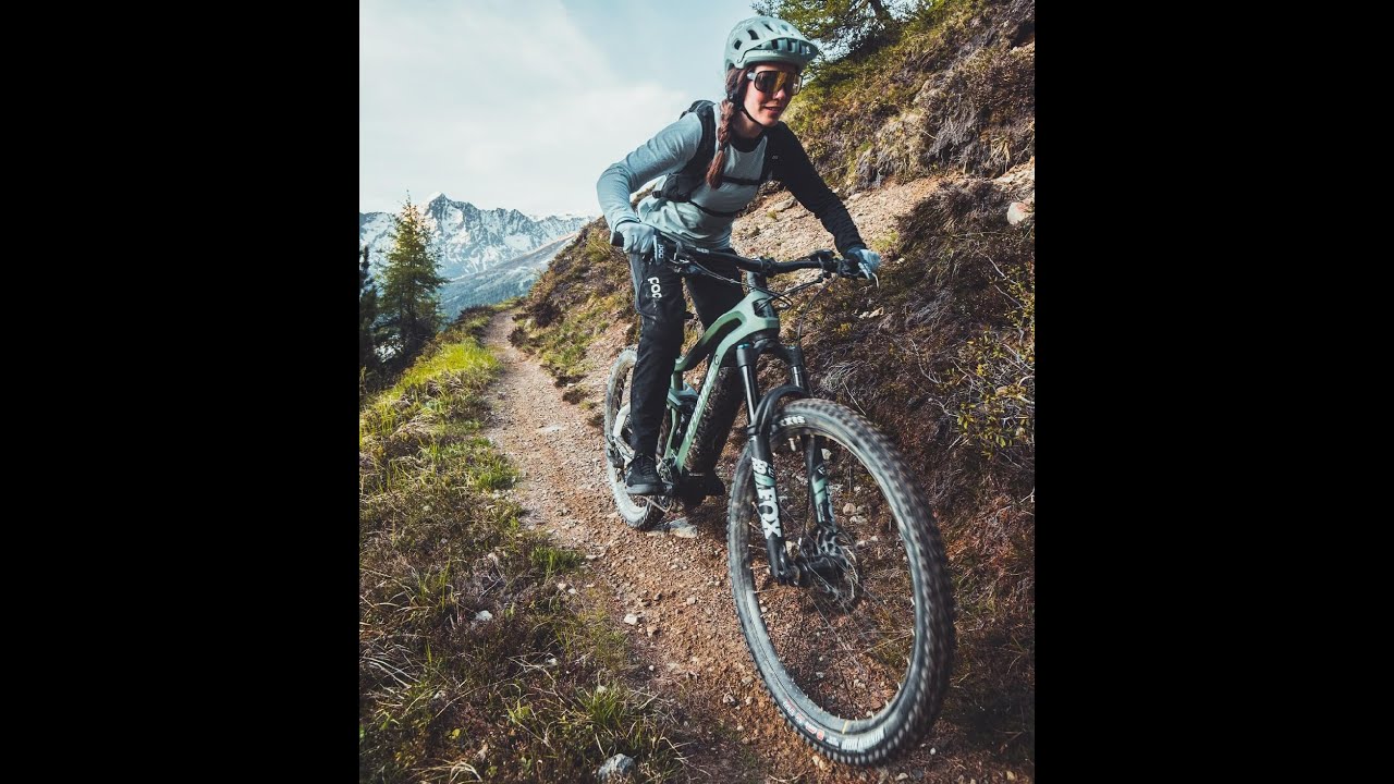2021 Haibike AllMtn 6.0 Electric Full Suspension Mountain Bike