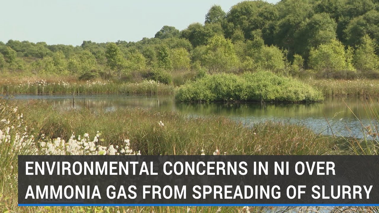 Environmental concerns in NI over ammonia gas from spreading of slurry