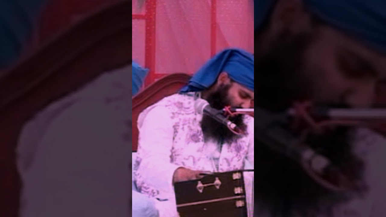 Neeldhari Kirtan - Sambhi Wale Maharaj Ji #neeldhari #neeldhari_kirtan #shortvideo #shorts #short