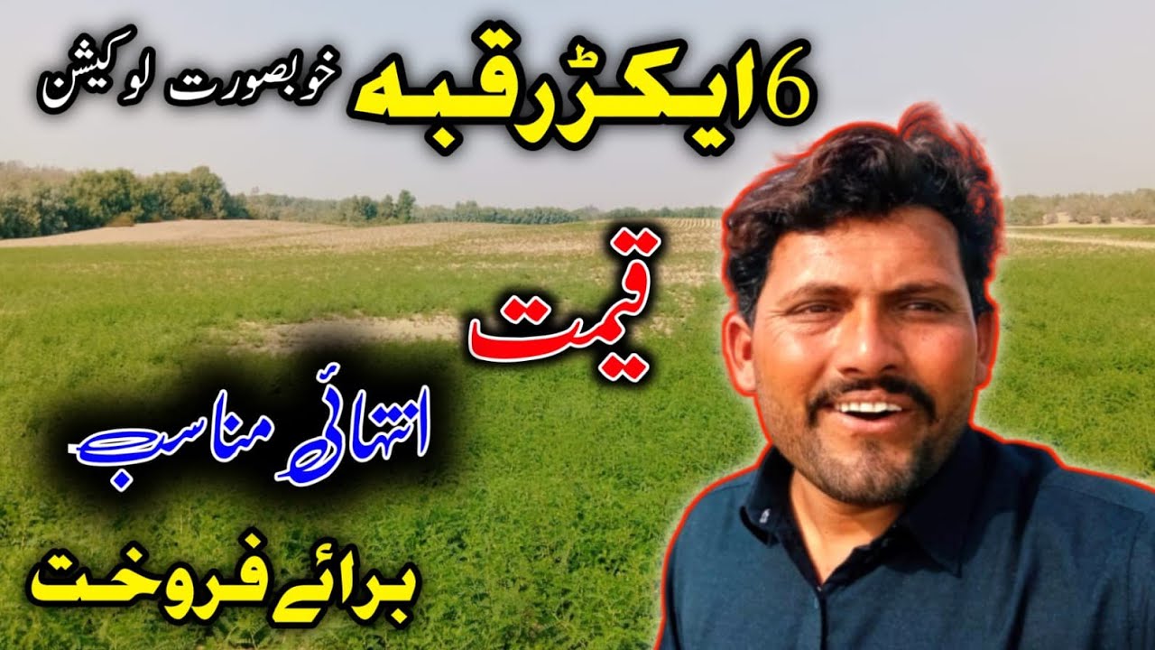 6 Acres Fertile Agriculture Land for Sale in Punjab Pakistan | Affordable Farming Land rakba for