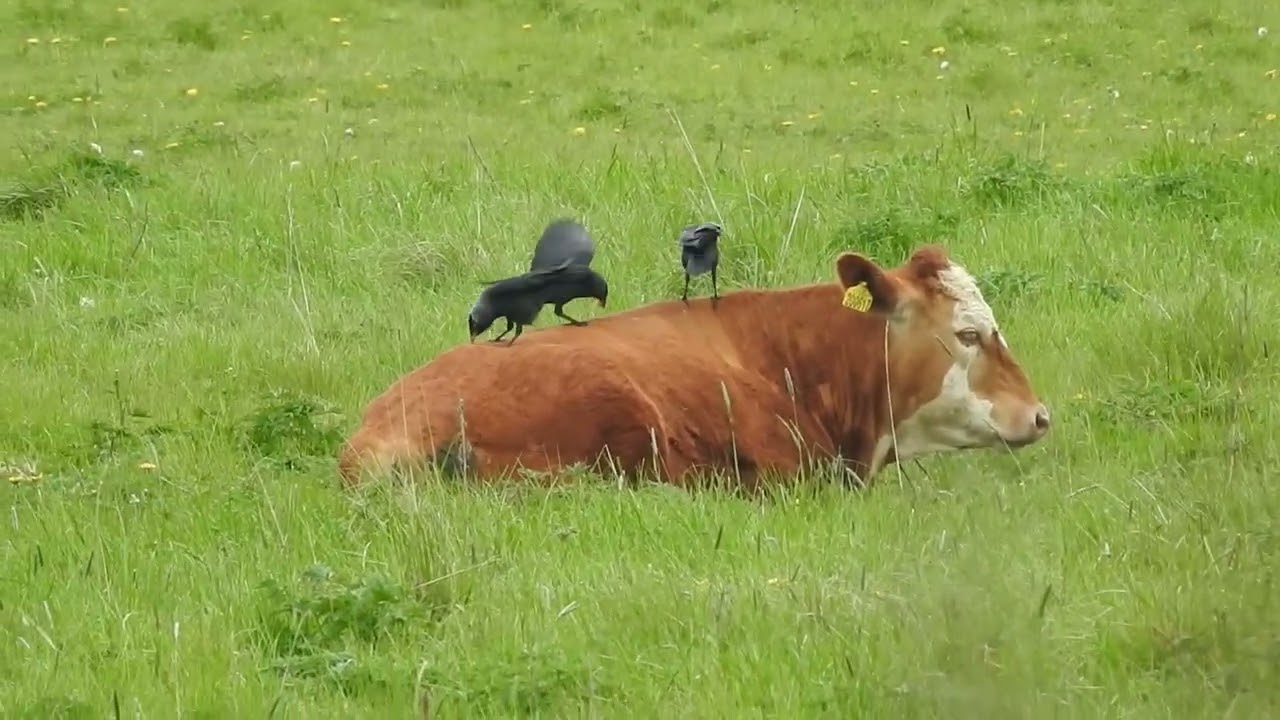 Snippets of unused video clips from 2025