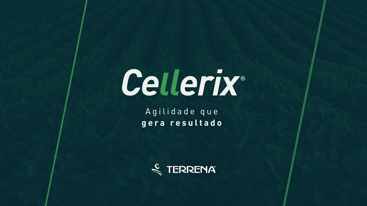 Cellerix - Agilidade que gera resultado