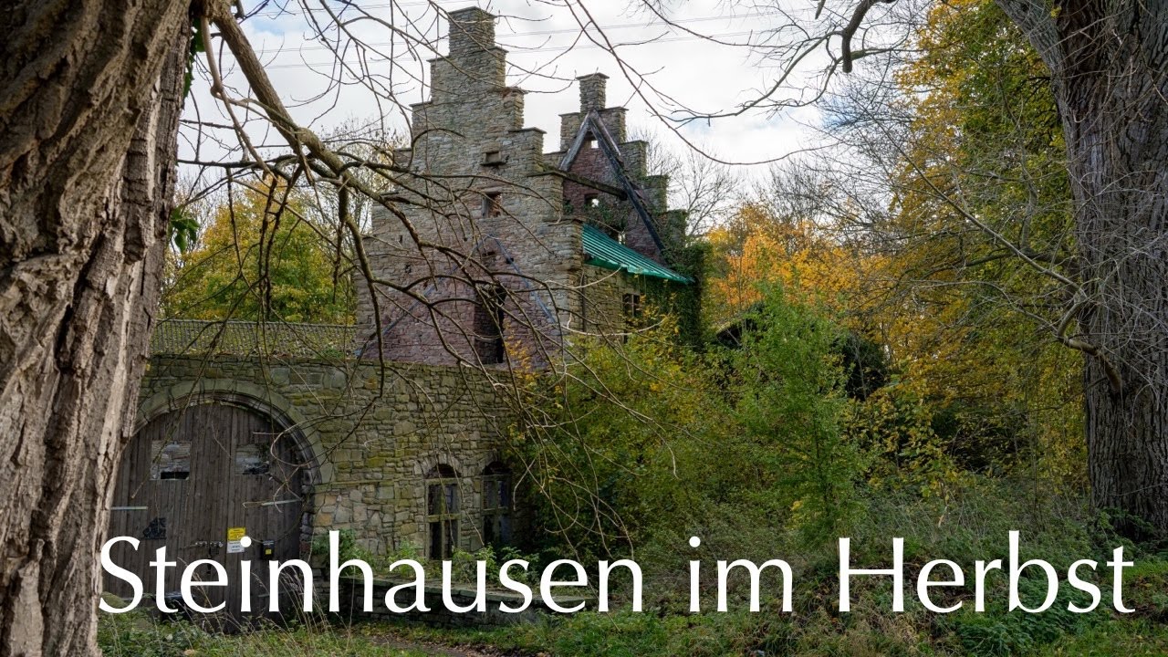 Steinhausen im Herbst