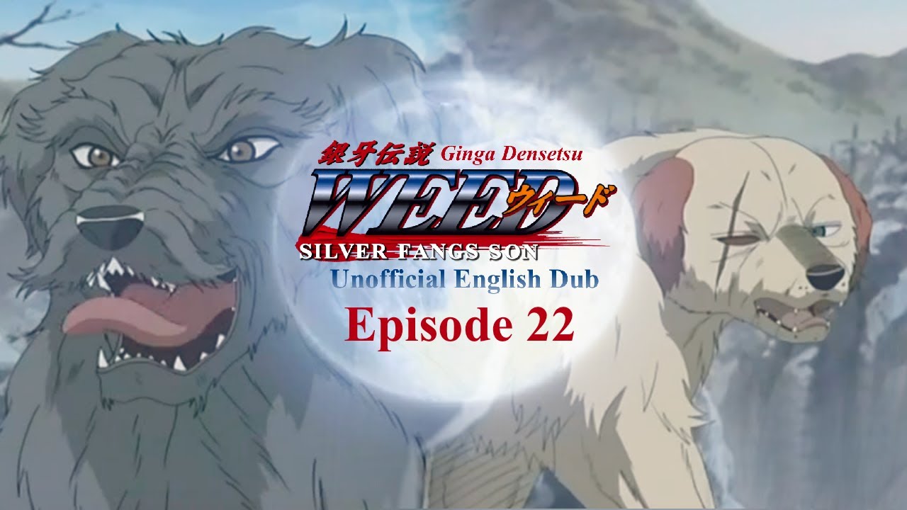 Ginga Densetsu Weed- Episode 22 (UNOFFICIAL ENGLISH DUB)