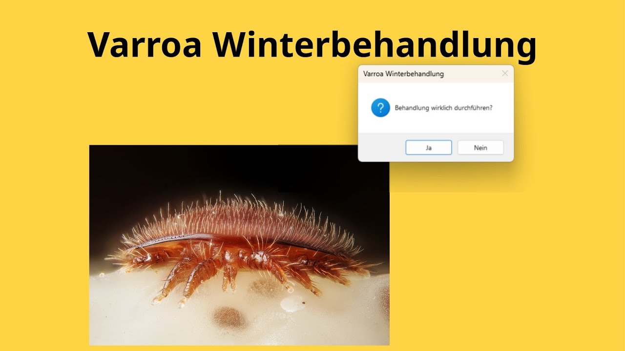 1. Dez. 2025 - Varroa Winterbehandlung - Wann, Wie, Warum (nicht)?