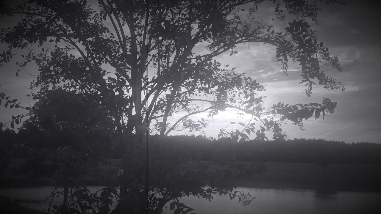 Ballad of Mr Jones and Davy (demo v2) - Johnson Trent