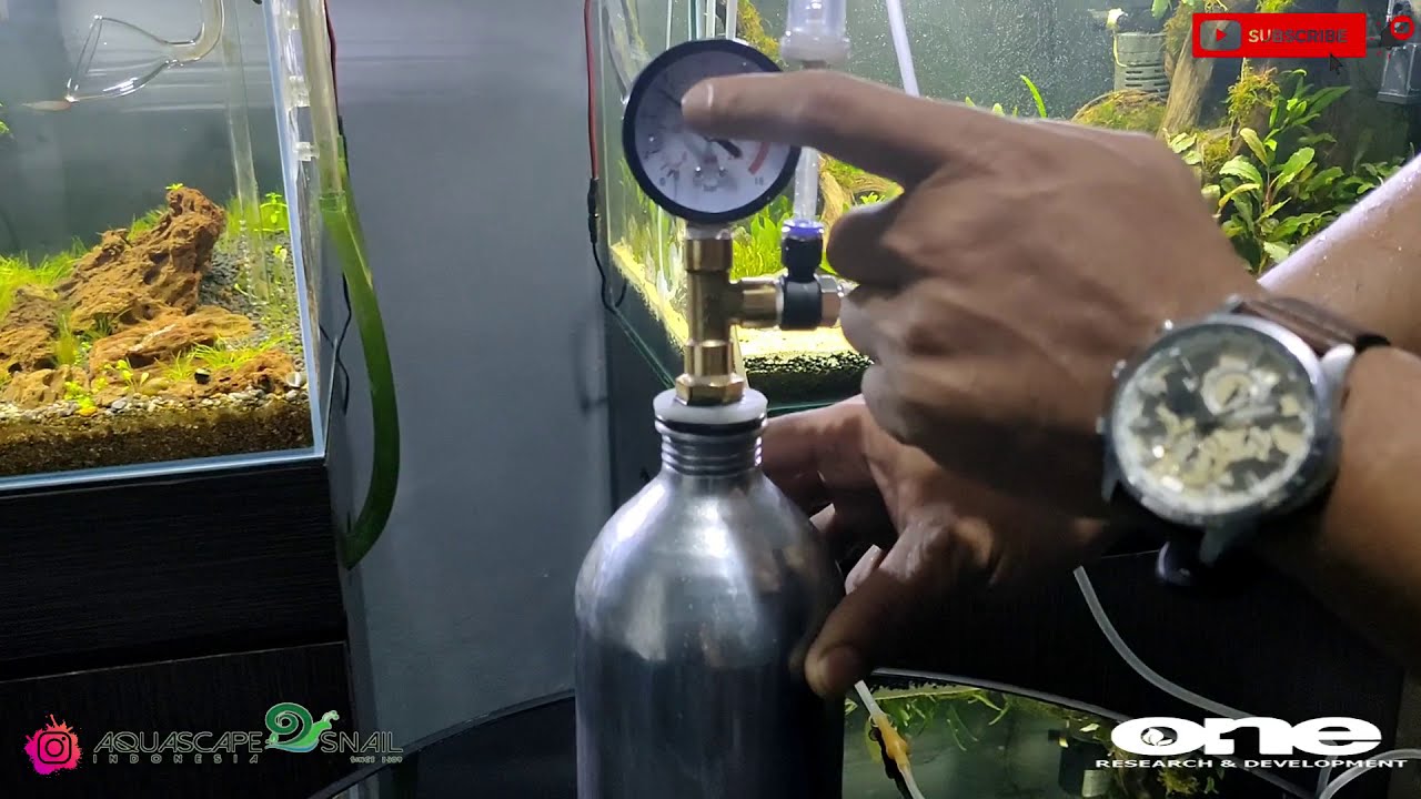 Cara mudah bikin co2 dengan bahan citrid acid dan baking soda.
