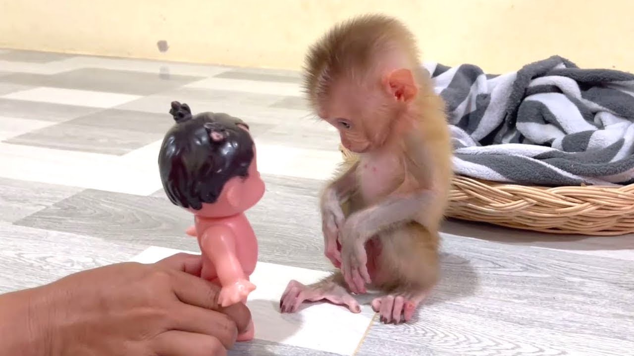 Moment Baby Monkey Realistic Reacts Baby Doll Cute Cute