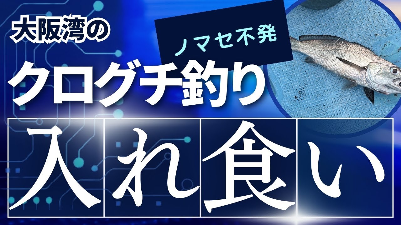 大阪湾のクログチ釣りで入れ食い！お隣は、デカいブリ？