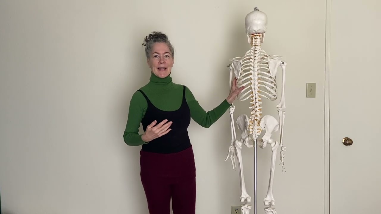 Dance Technique: Finding Alignment at the Vertebrae