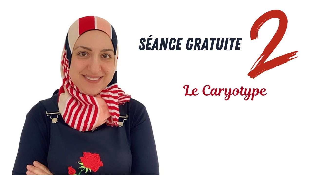 Seance 2: Le caryotype