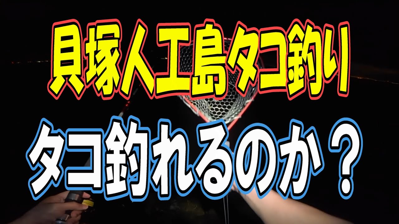 【 貝塚 人工島 】#タコ釣り！釣れのか？