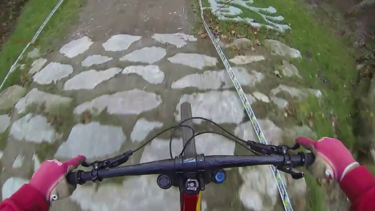 Bikepark Leogang 2015
