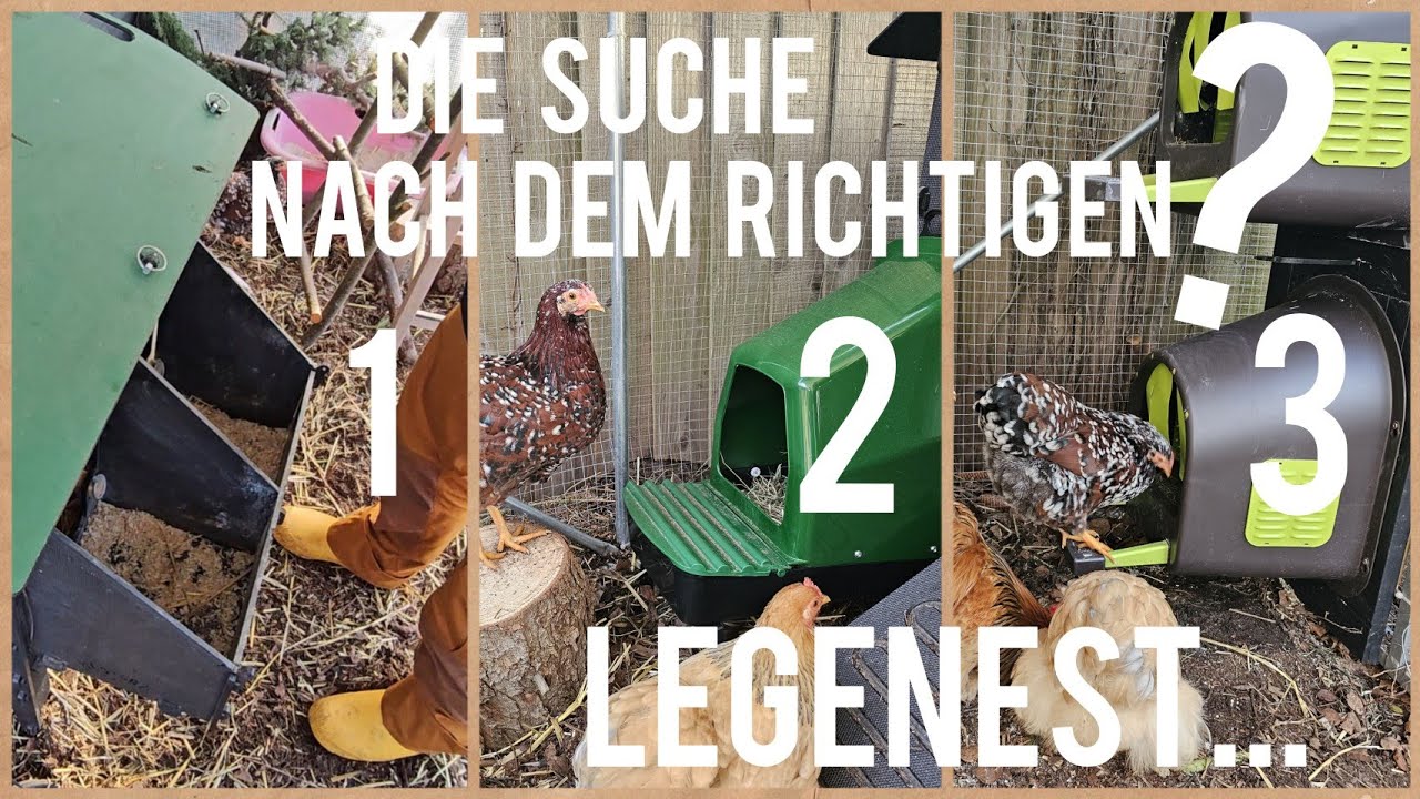 Welches ist das richtige LEGENEST f&uuml;r uns⁉️ || H&uuml;hner im Garten halten #9