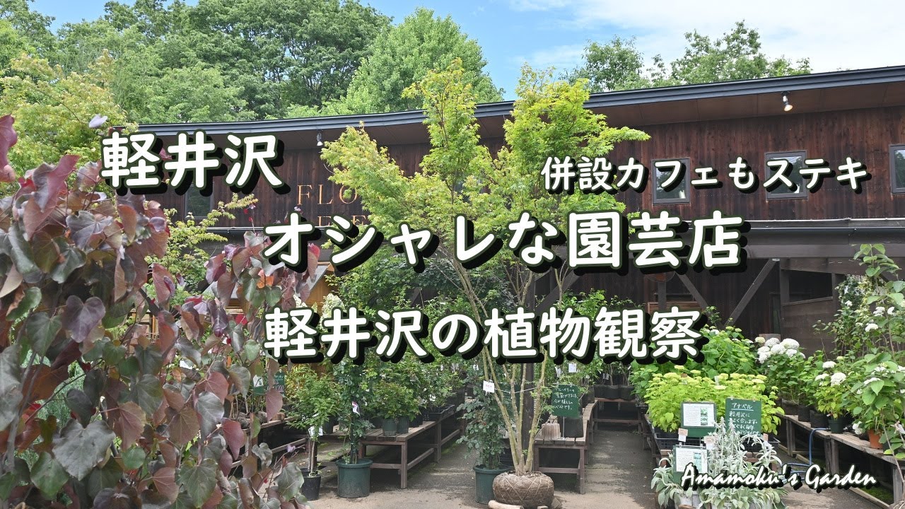 【軽井沢のオシャレな園芸店】Flower FIELD/軽井沢町植物園/雲場池