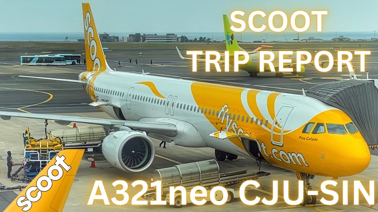TRIP REPORT | Scoot Airbus A321neo | Jeju to Singapore