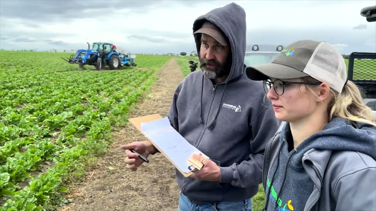 Sugar Beet Inter-row Seeding - 13