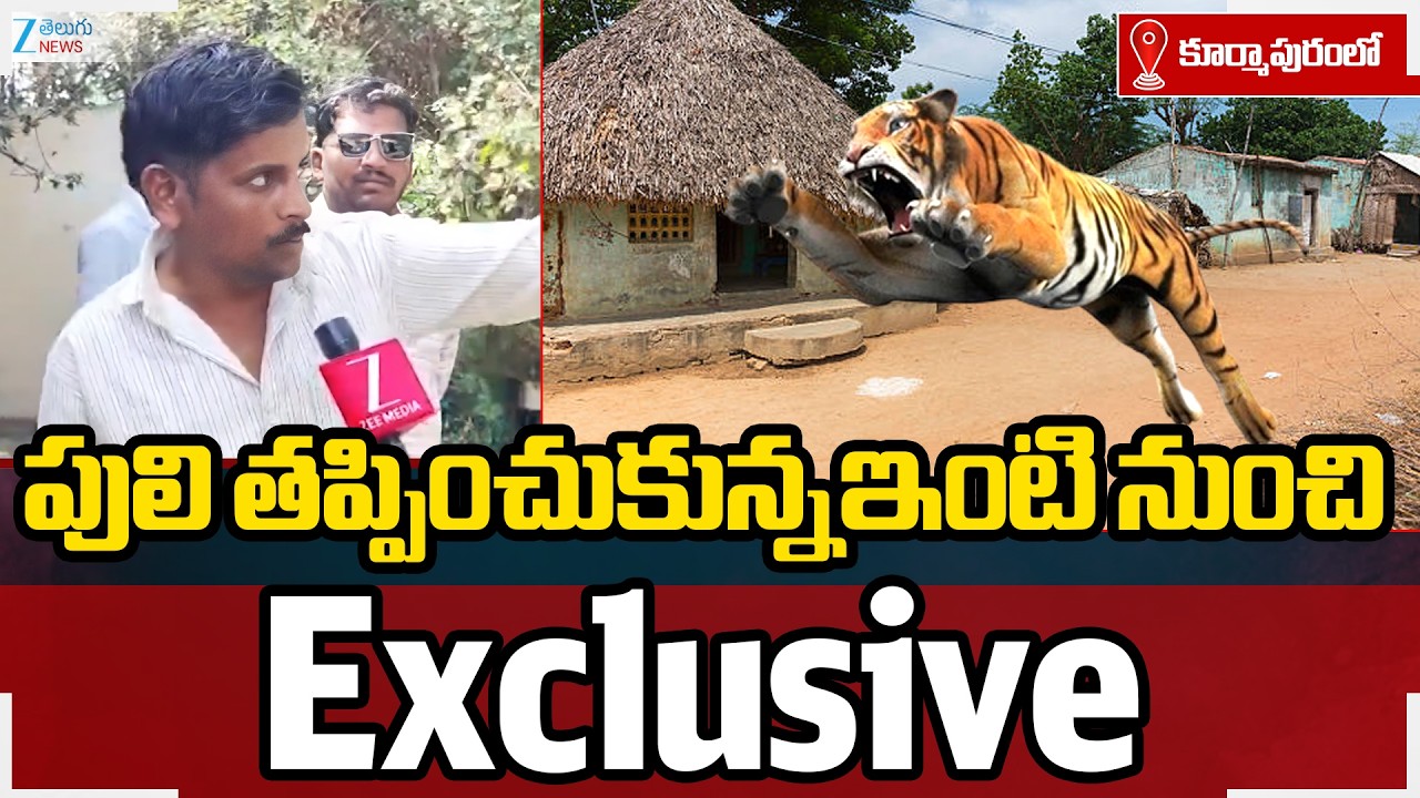 East Godavari Tiger Updates | Rajahmundry | పులి తప్పించుకున్న ఇంటి నుంచి Exclusive | ZEE Telugu