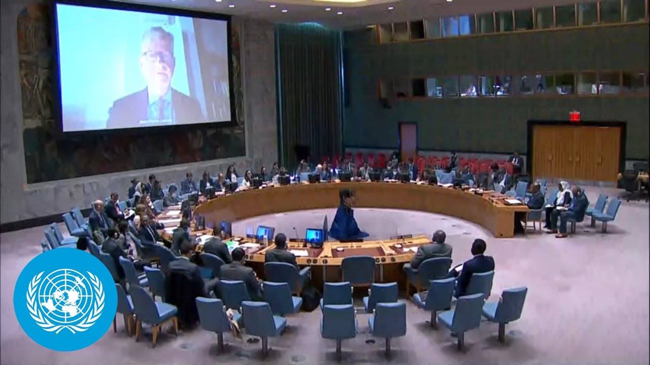 Abyei: Three direct attacks on UNISFA patrols in the past two months – Security Council Briefing