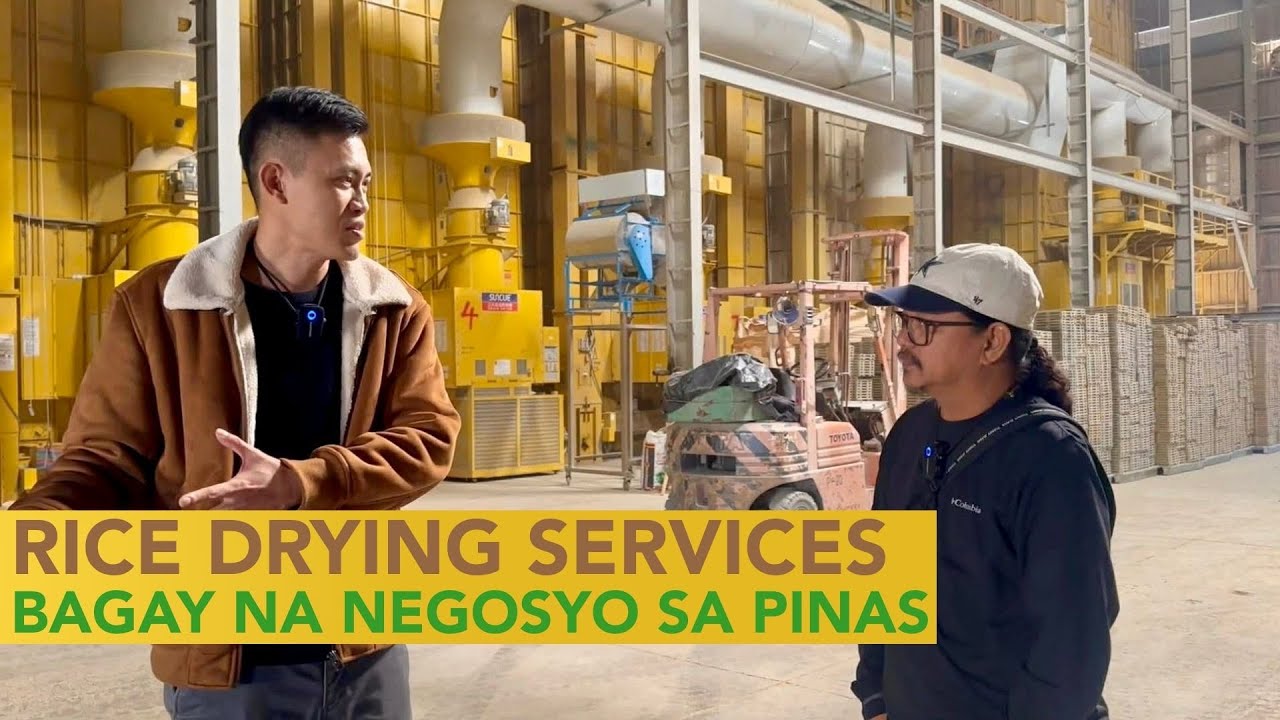 Rice Drying Services: Bagay na Negosyo sa Pinas, Waiting lang Tangkilikin ng mga Pinoy!