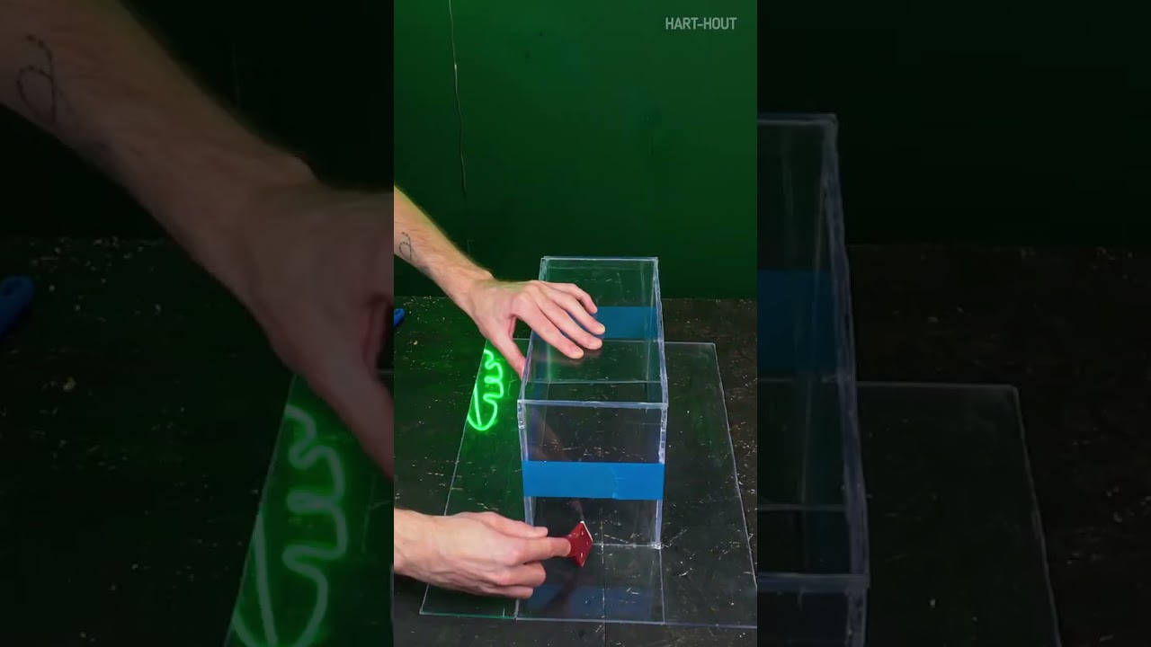 Laat je kat GEK WORDEN met deze leuke doe-het-zelf idee&euml;n 🐈🐱