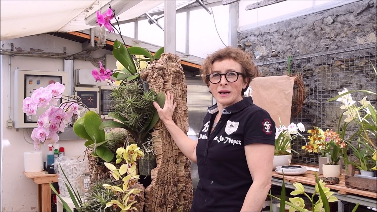 ORCHIDEE: Come trasformare tronchi di legno in opere d'arte