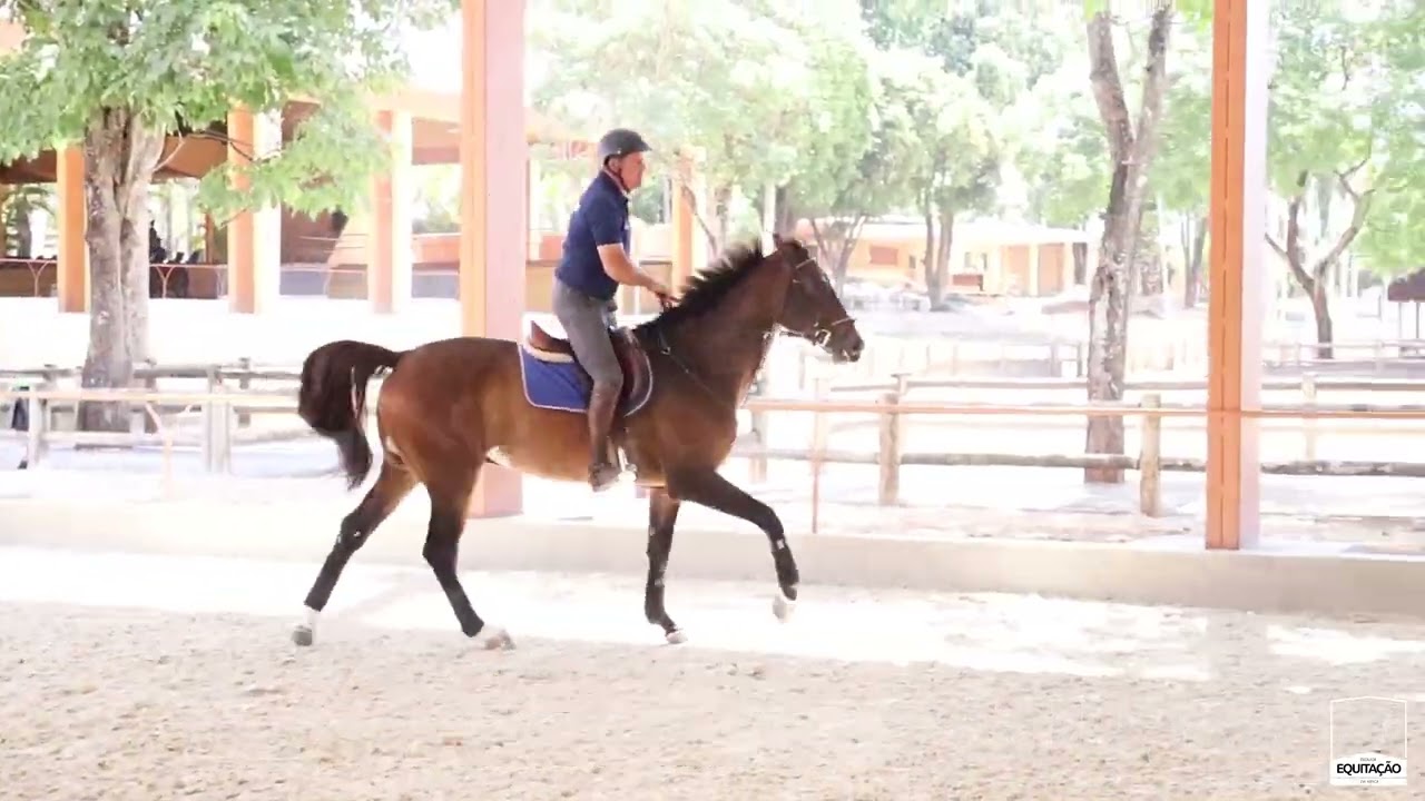 Distância para o salto