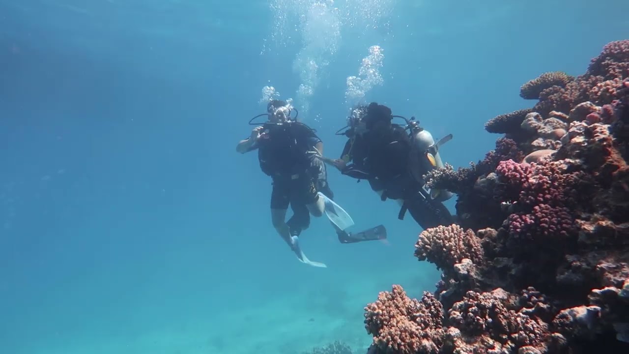 Scuba diving Marea Rosie, Egipt