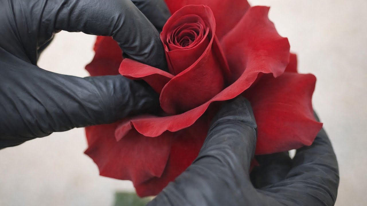 Эту розу флористы делают руками 🌹 Французская роза своими руками (French Rose Tutorial)