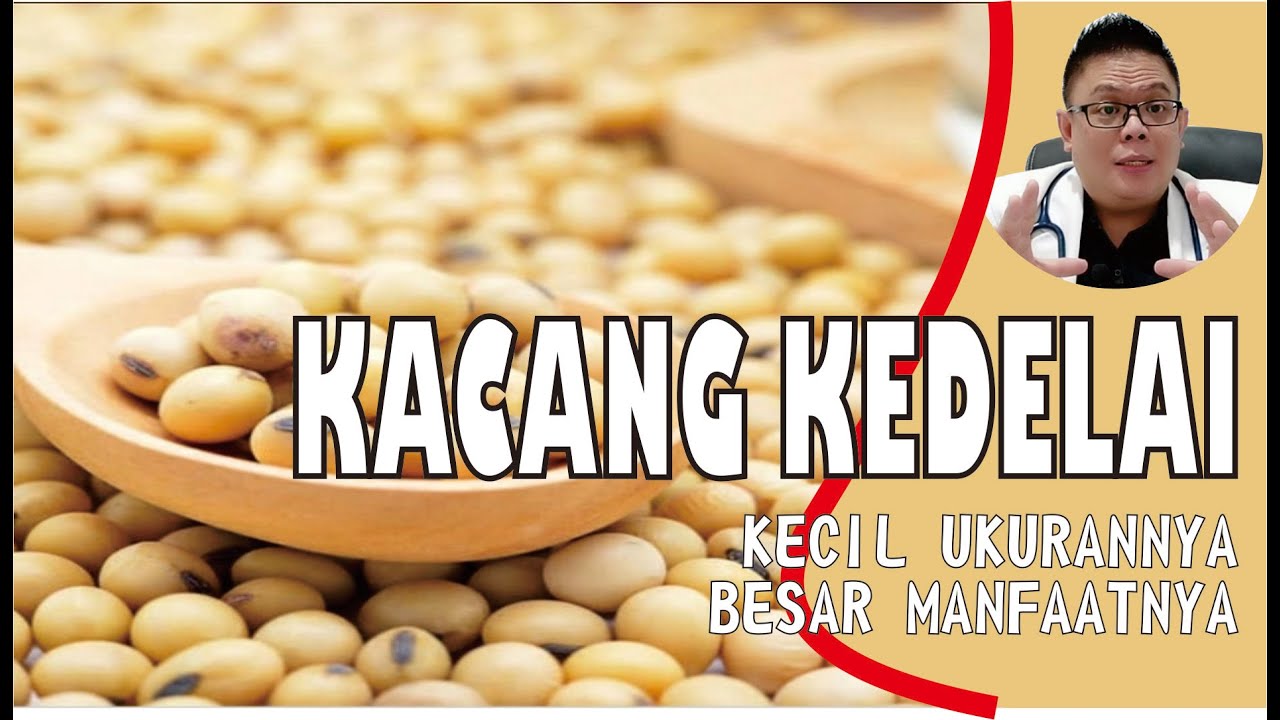 KHASIAT KACANG KEDELAI UNTUK KESEHATAN YANG HARUS KAMU KETAHUI