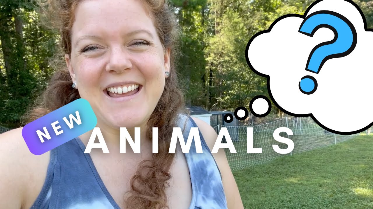 NEW 4 legged animals on the HOMESTEAD