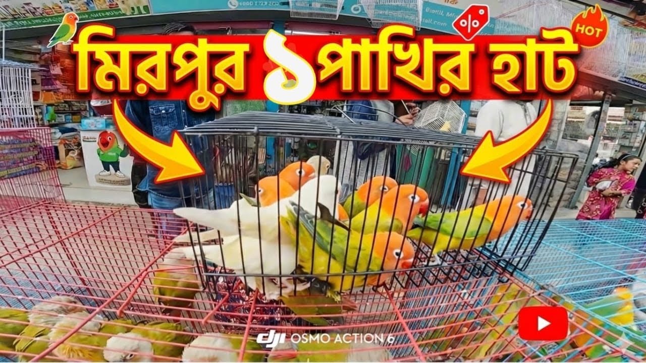মিরপুর ২ পাখির হাট . mirpur pakhir hat