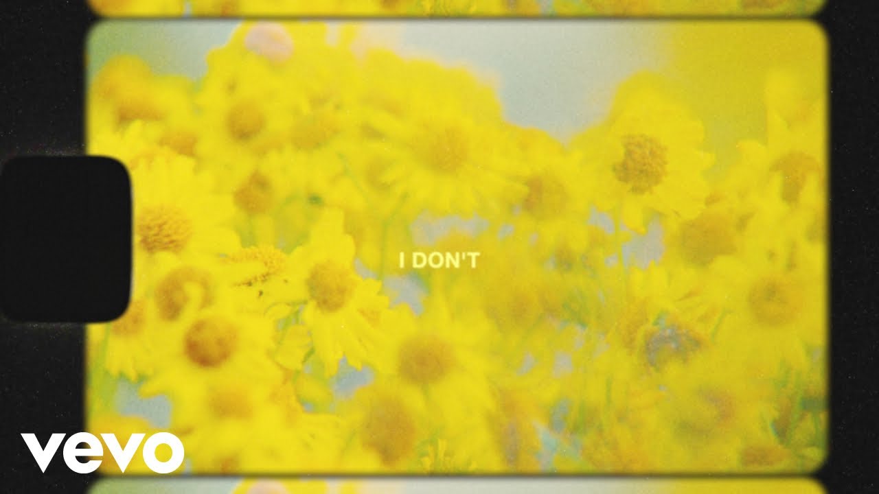 Brittany Howard - I Don't (Lyric Video)