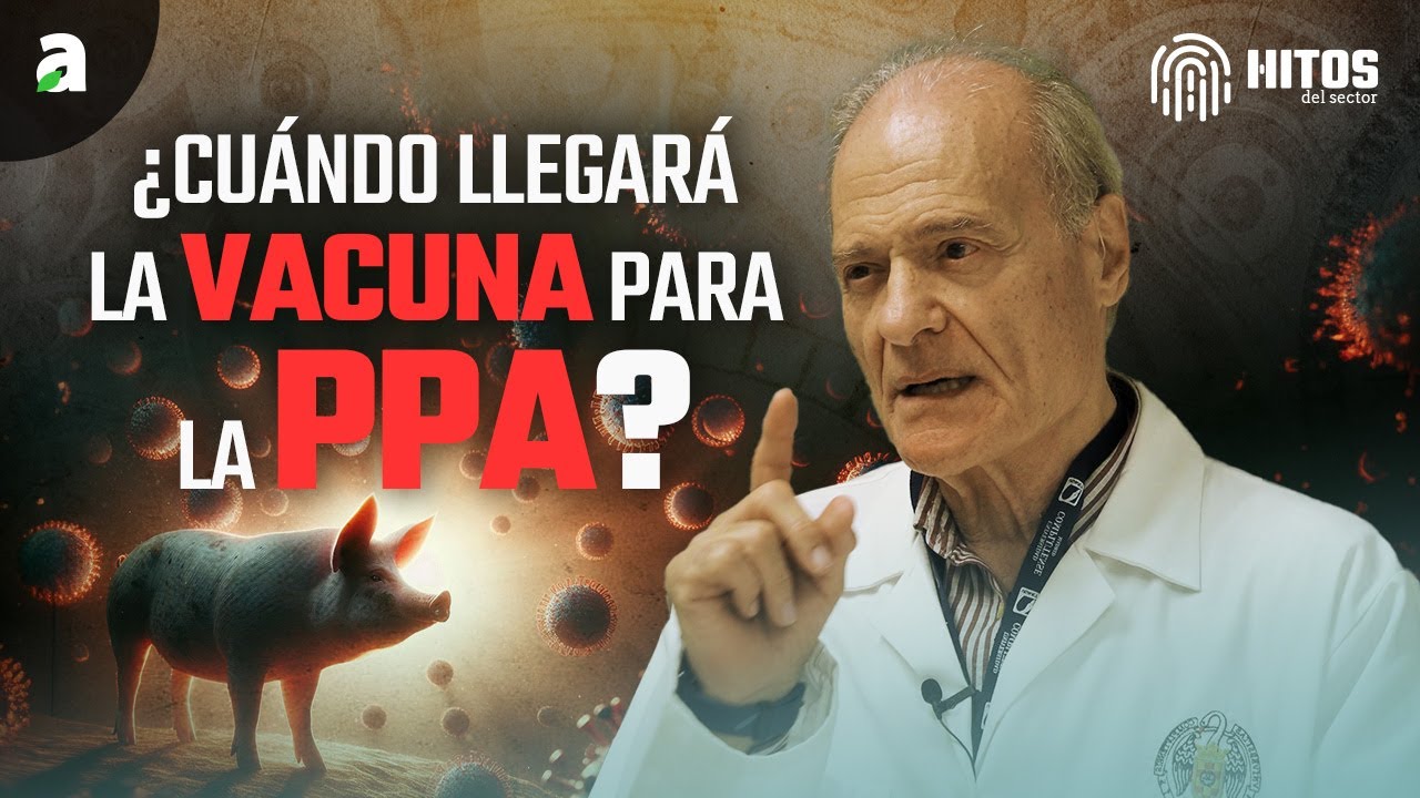 ¿Conseguiremos una VACUNA para la ENFERMEDAD más LETAL del sector porcino? | Hitos Ep.3
