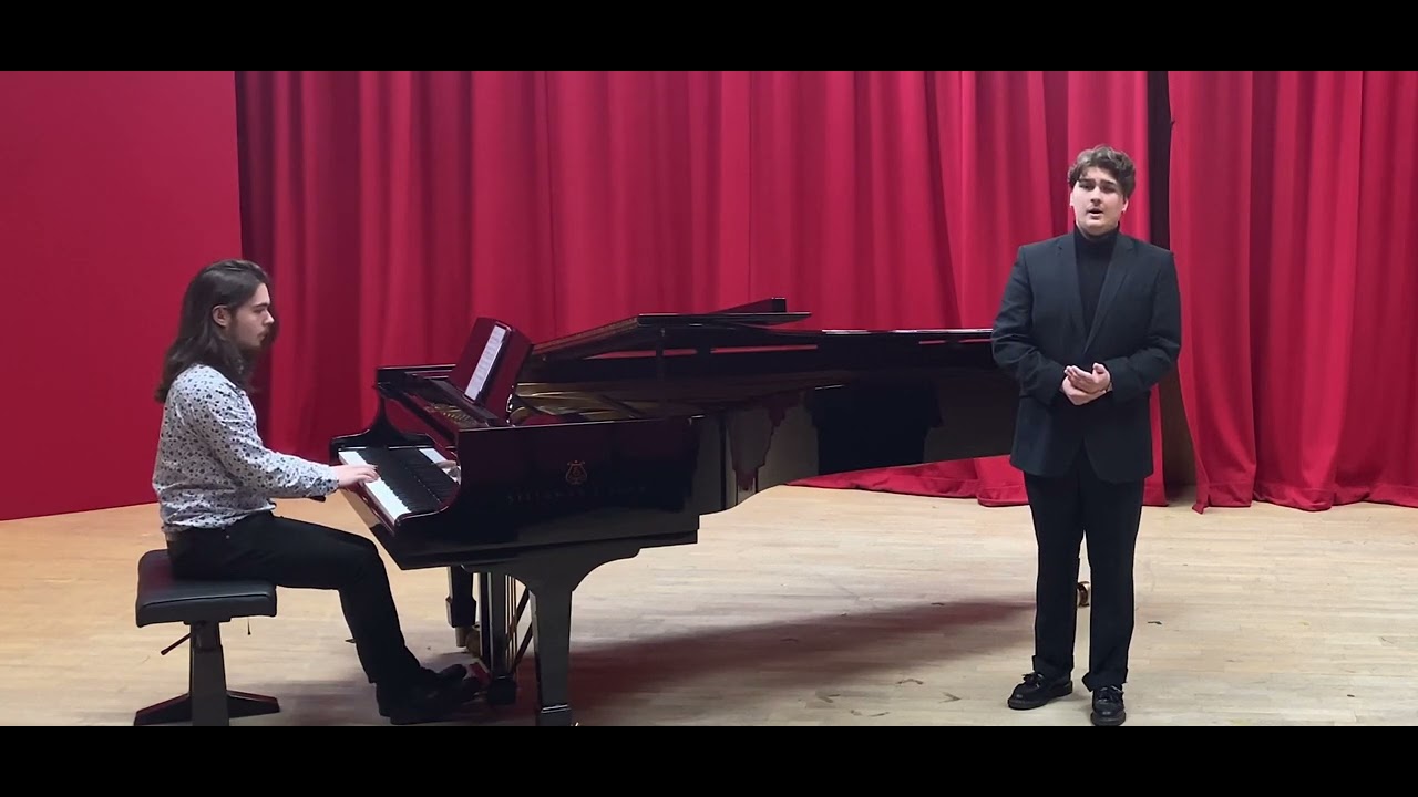 Dalla sua pace (Don Giovanni) - Mozart                              Edvard Adde (Tenor)