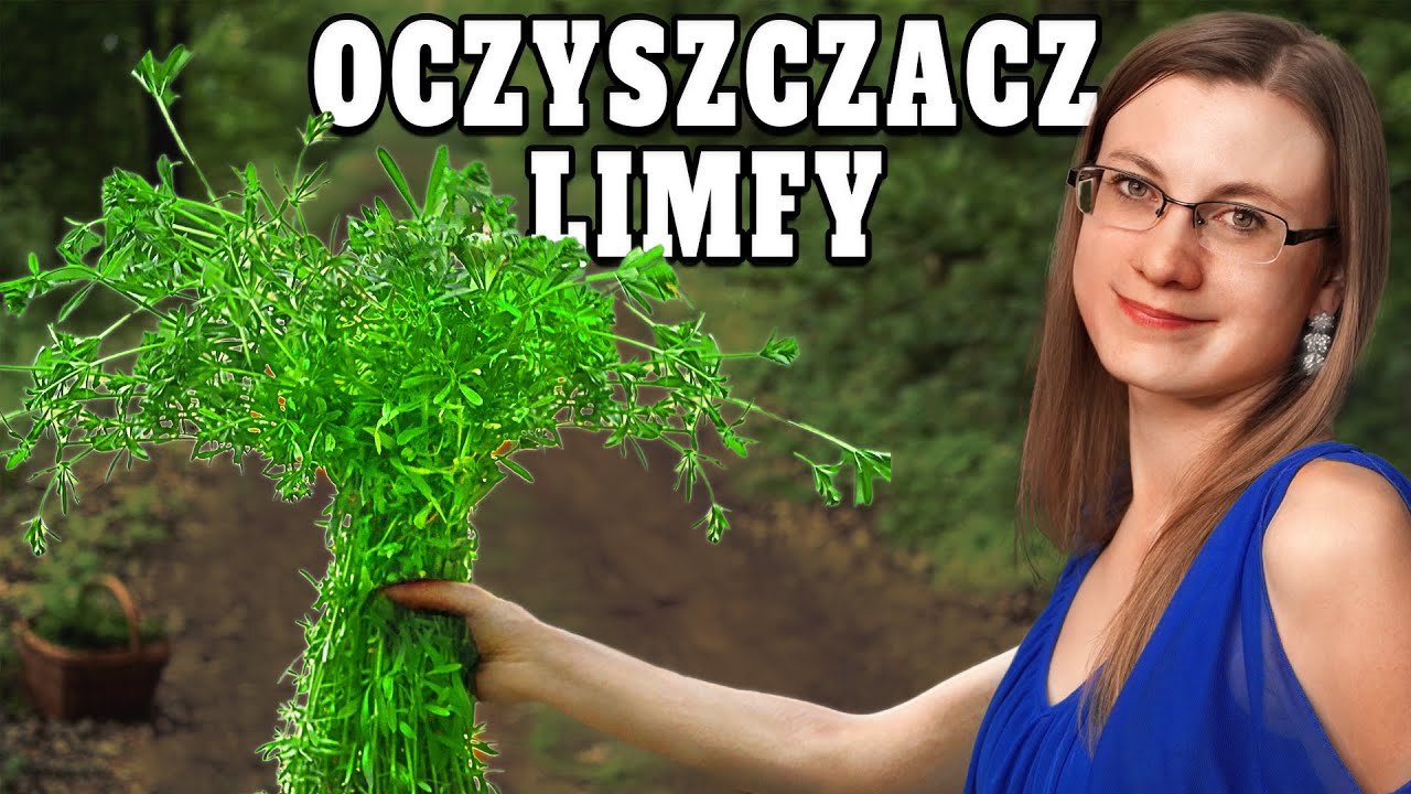 Naturalne ODMŁODZENIE: Ta Roślina Wydłuża Życie!